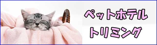 ペットホテル・トリミング：動物医療サポートセンター