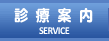 診療案内